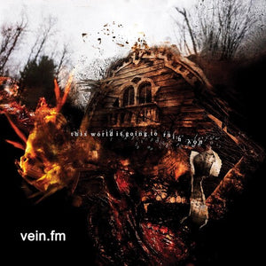 VEIN.FM | THIS WORLD IS GOING TO RUIN YOU