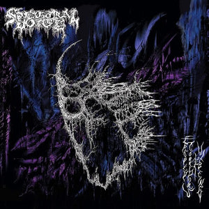 SPECTRAL VOICE | ERODED CORRIDORS OF UNBEING