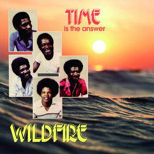 WILDFIRE | TIME IS THE ANSWER