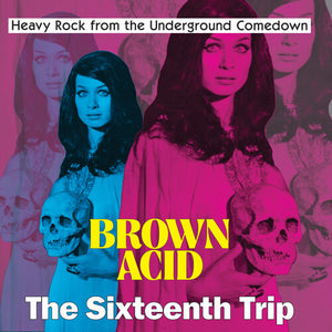 VARIOUS ARTISTS | BROWN ACID - SIXTEENTH TRIP / VARIOUS