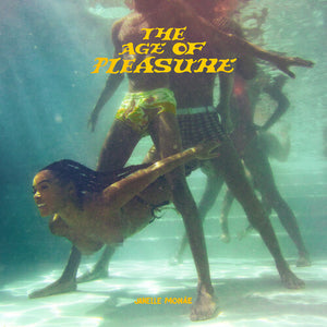 JANELLE MONAE | THE AGE OF PLEASURE