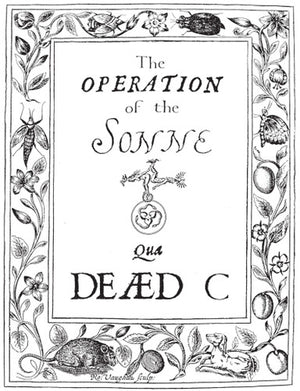 THE DEAD C | OPERATION OF THE SONNE