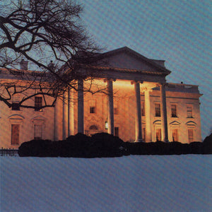 THE DEAD C | WHITE HOUSE
