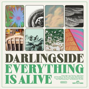 DARLINGSIDE | EVERYTHING IS ALIVE