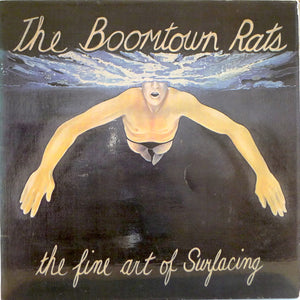 BOOMTOWN RATS | FINE ART OF SURFACING - NZ/AUS
