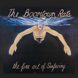 BOOMTOWN RATS | FINE ART OF SURFACING - NZ / AUS