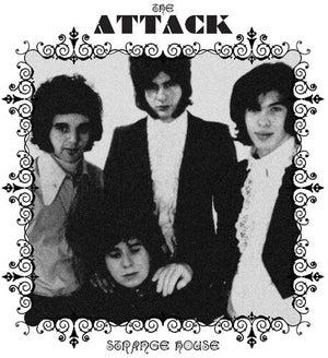 THE ATTACK | STRANGE HOUSE