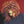 JANET JACKSON | VELVET ROPE