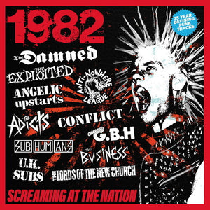 VARIOUS ARTISTS | 1982: SCREAMING AT THE NATION / VARIOUS