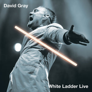 DAVID GRAY | WHITE LADDER LIVE