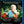 KINGDOM OF PLANTS (BLU-RAY)