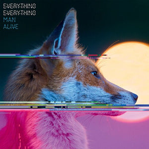 EVERYTHING EVERYTHING | MAN ALIVE
