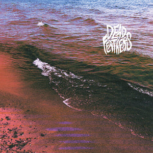 DEAD FEATHERS | FULL CIRCLE
