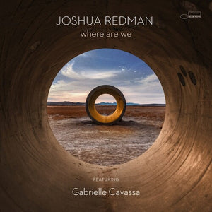 JOSHUA REDMAN | WHERE WE ARE VINYL