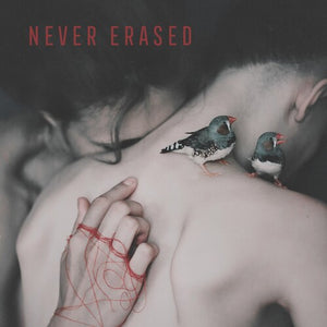 VARIOUS ARTISTS | NEVER ERASED / VARIOUS