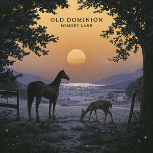 OLD DOMINION | MEMORY LANE
