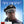 FLIGHT (BLU - RAY)