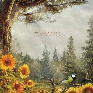 THE ACACIA STRAIN | SLOW DECAY
