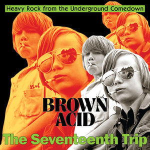 VARIOUS ARTISTS | BROWN ACID - THE SEVENTEENTH TRIP / VARIOUS