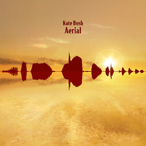 KATE BUSH | AERIAL