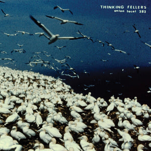 THINKING FELLERS UNION LOCAL #282 | THESE THINGS REMAIN UNASSIGNED