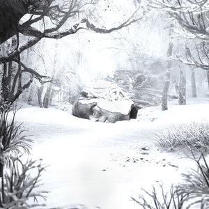WEEZER | SZNZ: WINTER