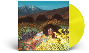 BRITTANY HOWARD | WHAT NOW (YELLOW EDITION) (VINYL)