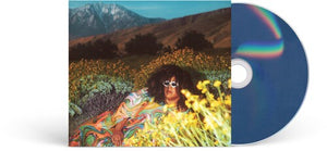 BRITTANY HOWARD | WHAT NOW