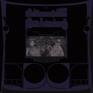 SHABAZZ PALACES | EXOTIC BIRDS OF PREY (WHITE EDITION) (VINYL)