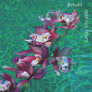 BRHYM | DEEP SEA VENTS