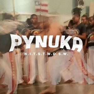 PYNUKA | N.I.T.S.T.W.D.S.W.