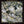 PHOSPHORESCENT | REVELATOR (VINYL)