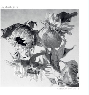 AND ALSO THE TREES | MOTHER-OF-PEARL MOON