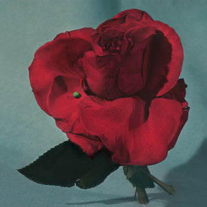 METZ | UP ON GRAVITY HILL (CLEAR RED EDITION) (VINYL)