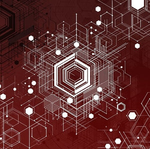 MEAT BEAT MANIFESTO & MERZBOW | EXTINCT