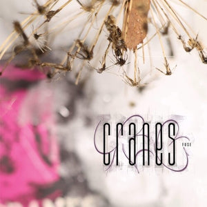 CRANES | FUSE