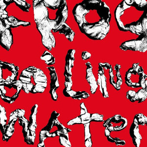 DIIV | FROG IN BOILING WATER