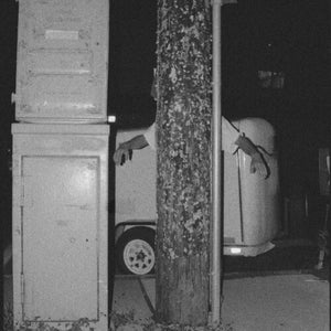 PAPER TIGER | ALL OVER THE PLACE