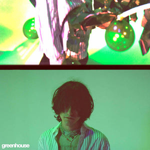 ALDN | GREENHOUSE (GREEN EDITION) (VINYL)