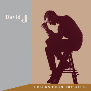 DAVID J | TRACKS FROM THE ATTIC