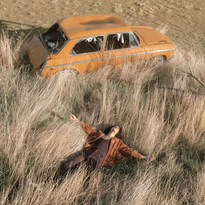LAWRENCE ROTHMAN | PLOW THAT BROKE THE PLAINS