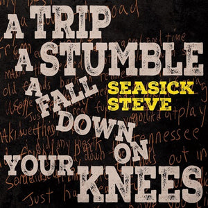 SEASICK STEVE | TRIP A STUMBLE A FALL DOWN ON YOUR KNEES