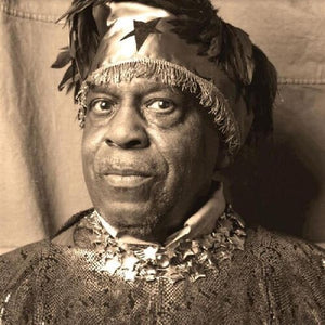 SUN RA | INSIDE THE LIGHT WORLD - SUN RA MEETS THE OVC (2CD SET) (DIGI)