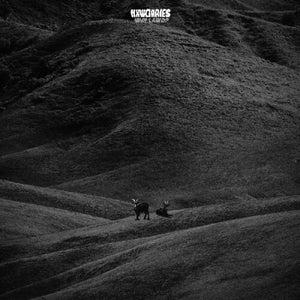 NXWORRIES / KNXWLEDGE / ANDERSON PAAK | WHY LAWD (GOLD AND BLUE EDITION) (VINYL)