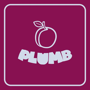 RAY ANGRY^QUESTLOVE^DAVID MURRAY | PLUMB