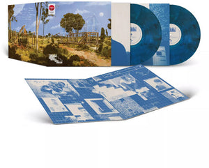 ZAYN | ROOM UNDER THE STAIRS (BLUE SMOKE 2LP EDITION) (VINYL)