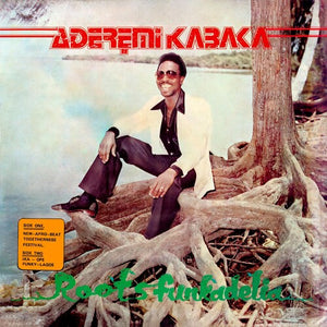 REMI KABAKA | ROOTS FUNKADELIA (VINYL)
