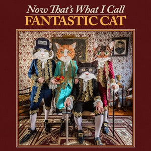 FANTASTIC CAT | NOW THAT'S WHAT I CALL FANTASTIC CAT