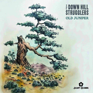 THE DOWN HILL STRUGGLERS | OLD JUNIPER