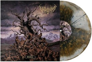 VULVODYNIA | ENTABENI